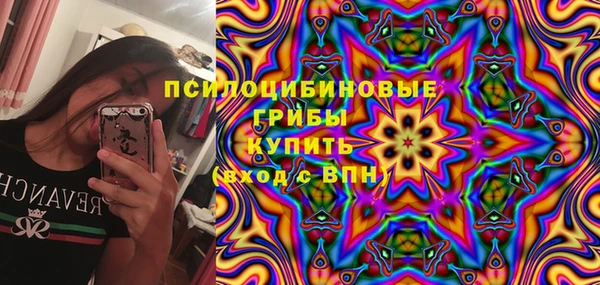 PSILOCYBIN Абинск