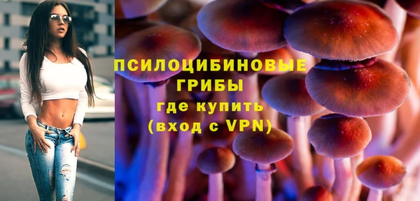 мескалин Абаза