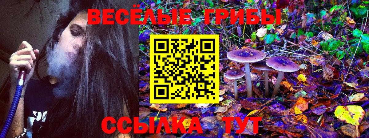 Псилоцибиновые грибы Cubensis Александров
