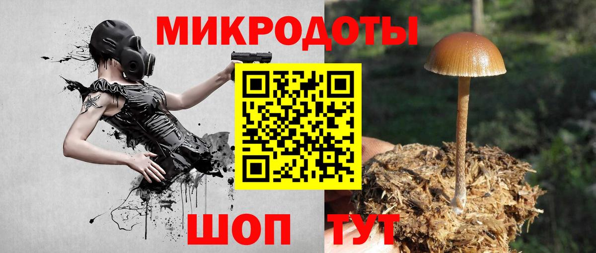 Галлюциногенные грибы GOLDEN TEACHER  Псилоцибиновые грибы GOLDEN TEACHER  купить наркотики цена  Александров  Вход с VPN 